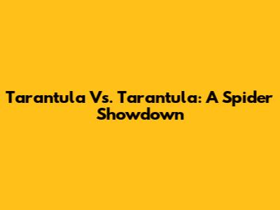 Tarantula Vs. Tarantula: A Spider Showdown