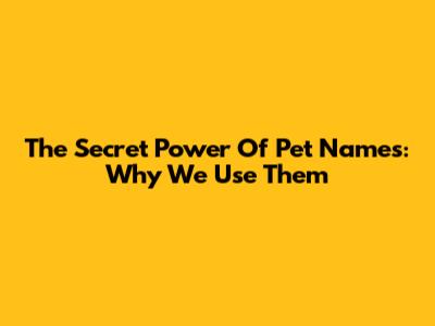 The Secret Power Of Pet Names: Why We Use Them