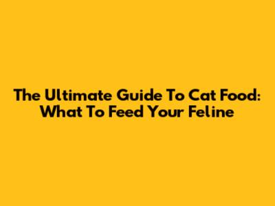 The Ultimate Guide To Cat Food: What To Feed Your Feline