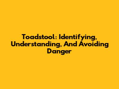 Toadstool: Identifying, Understanding, And Avoiding Danger