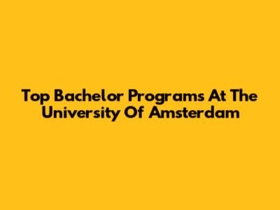 Top Bachelor Programs At The University Of Amsterdam