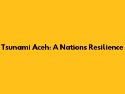 Tsunami Aceh: A Nation's Resilience
