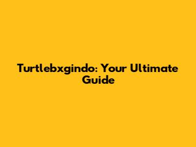 Turtlebxgindo: Your Ultimate Guide