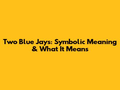 Two Blue Jays: Symbolic Meaning & What It Means