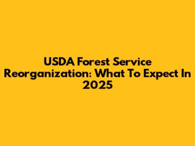 USDA Forest Service Reorganization: What To Expect In 2025