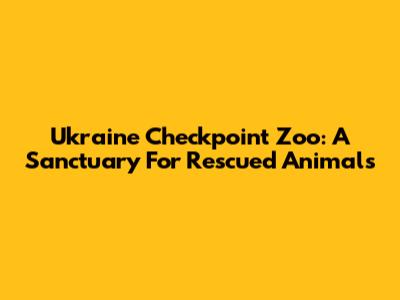 Ukraine Checkpoint Zoo: A Sanctuary For Rescued Animals