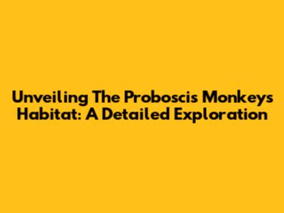 Unveiling The Proboscis Monkey's Habitat: A Detailed Exploration