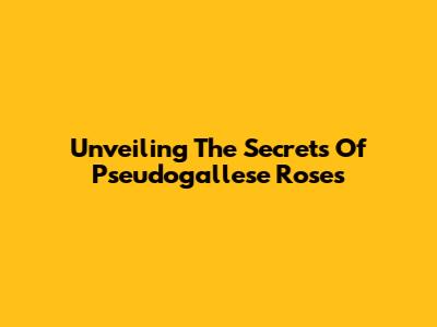 Unveiling The Secrets Of Pseudogallese Roses
