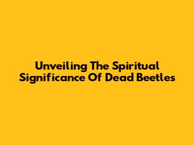 Unveiling The Spiritual Significance Of Dead Beetles