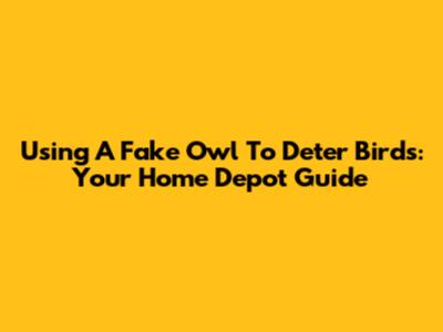 Using A Fake Owl To Deter Birds: Your Home Depot Guide
