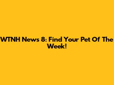 WTNH News 8: Find Your Pet Of The Week!