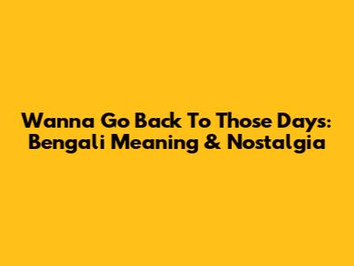 Wanna Go Back To Those Days: Bengali Meaning & Nostalgia