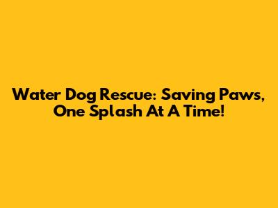 Water Dog Rescue: Saving Paws, One Splash At A Time!
