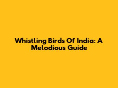 Whistling Birds Of India: A Melodious Guide