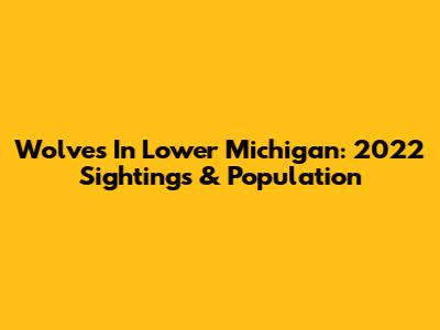 Wolves In Lower Michigan: 2022 Sightings & Population