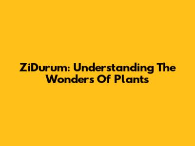 ZiDurum: Understanding The Wonders Of Plants